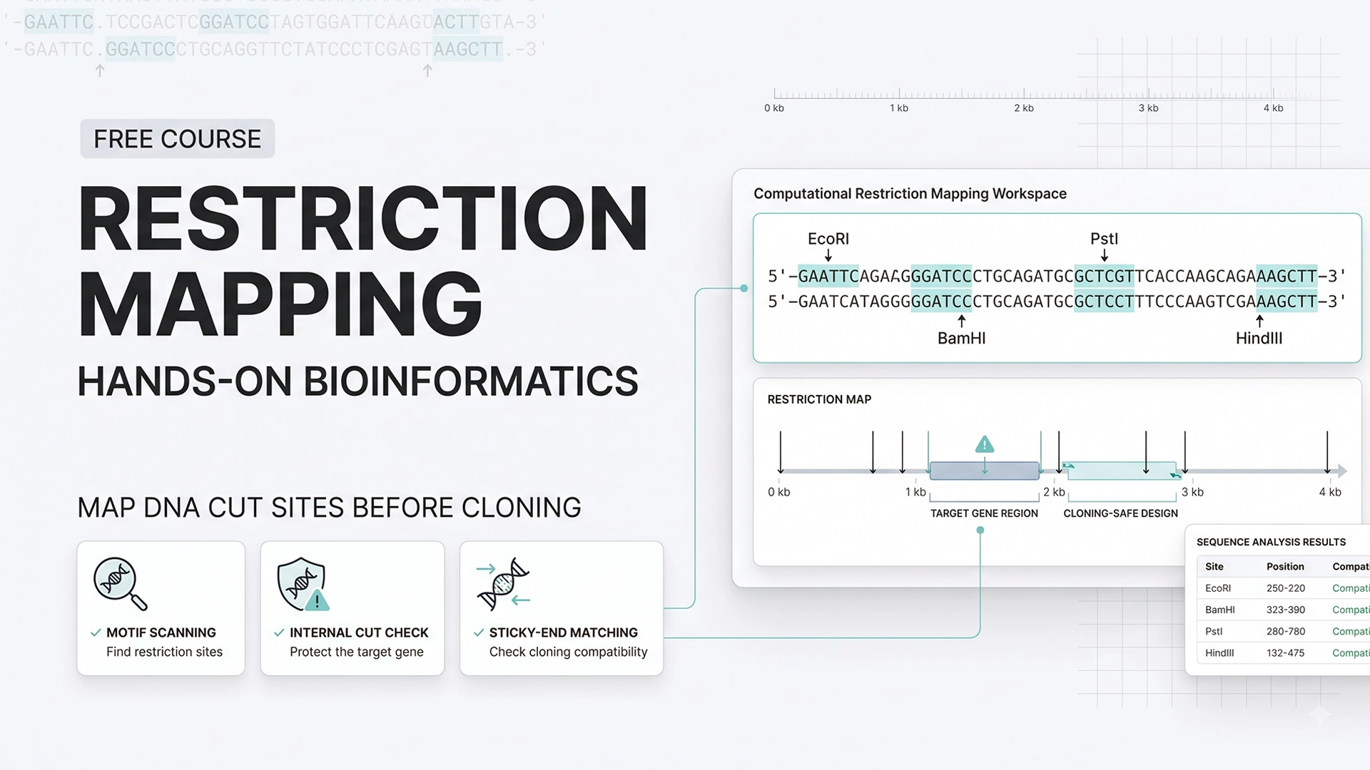 Free Hands On Bioinformatics Course for Students Exploring Restriction Mapping